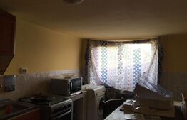 Pensiune + Teren, 5 camere, 130mp, Schela