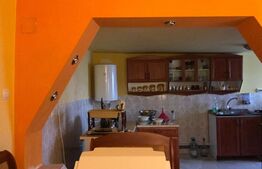 Pensiune + Teren, 5 camere, 130mp, Schela