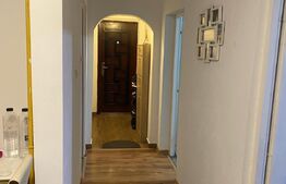 Apartament 2 camere, 45 mp, cartier Plopilor