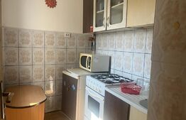 Garsoniera, 26 mp, zona Lotrului