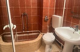 Garsoniera, 22MP, Lotrului