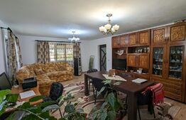 Casa la cheie P+M, teren 3700 mp zona Danesti