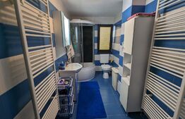 Casa la cheie P+M, teren 3700 mp zona Danesti