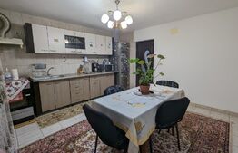 Casa la cheie P+M, teren 3700 mp zona Danesti