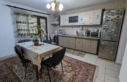 Casa la cheie P+M, teren 3700 mp zona Danesti