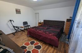 Casa la cheie P+M, teren 3700 mp zona Danesti