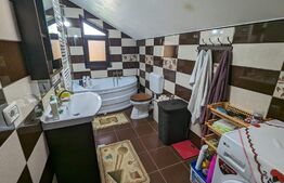 Casa la cheie P+M, teren 3700 mp zona Danesti