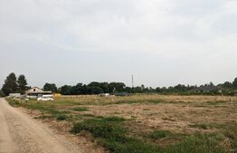 Teren intravilan, 710 mp, zona Turcinesti