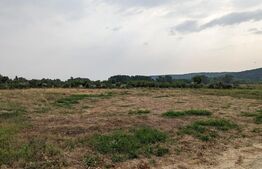 Teren intravilan, 710 mp, zona Turcinesti