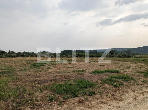 Teren de vânzare Exterior Nord - 121791TV | BLITZ Târgu Jiu | Poza2