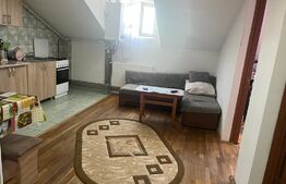 Apartament 2 camere, 43mp, zona Artego