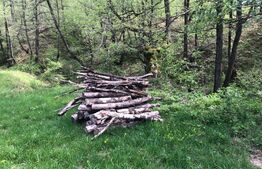 Teren, 9.746 mp, zona Cernadia