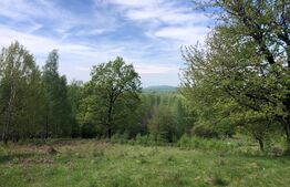 Teren, 9.746 mp, zona Cernadia