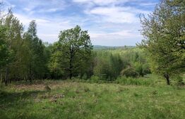 Teren, 9.746 mp, zona Cernadia