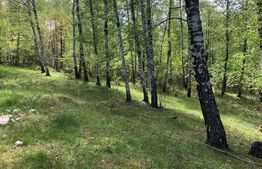 Teren, 9.746 mp, zona Cernadia