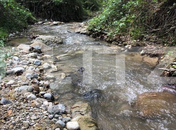 Teren de vânzare Nord Est - 122550TV | BLITZ Târgu Jiu | Poza3