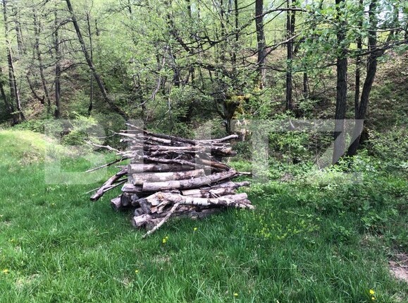 Teren de vânzare Nord Est - 122550TV | BLITZ Târgu Jiu | Poza6