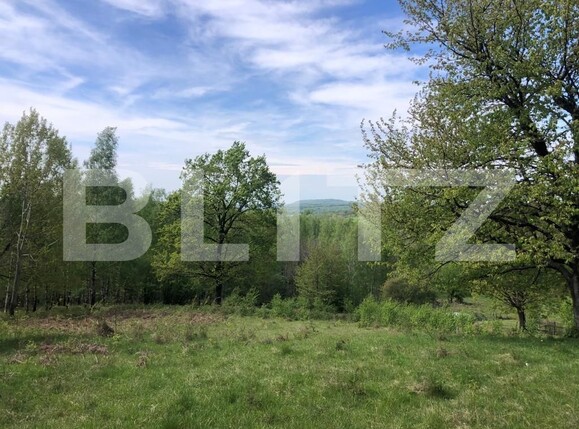 Teren de vânzare Nord Est - 122550TV | BLITZ Târgu Jiu | Poza8