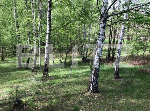 Teren de vânzare Nord Est - 122550TV | BLITZ Târgu Jiu | Poza2