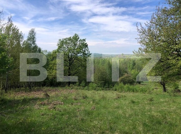 Teren de vânzare Nord Est - 122550TV | BLITZ Târgu Jiu | Poza7