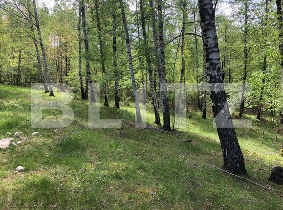 Teren de vânzare Nord Est - 122550TV | BLITZ Târgu Jiu | Poza4