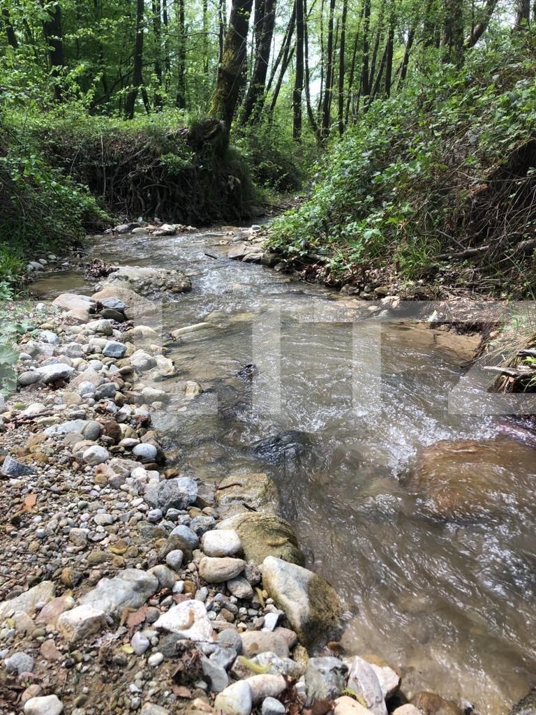 Teren de vânzare Nord Est - 122550TV | BLITZ Târgu Jiu | Poza3