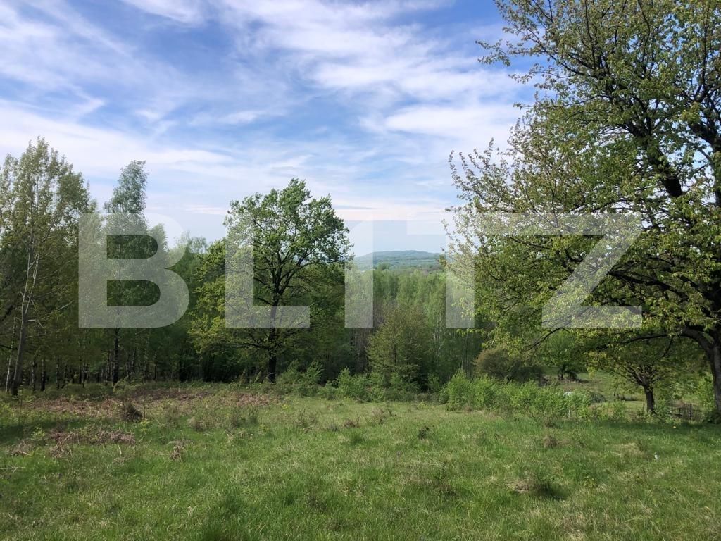 Teren de vânzare Nord Est - 122550TV | BLITZ Târgu Jiu | Poza8