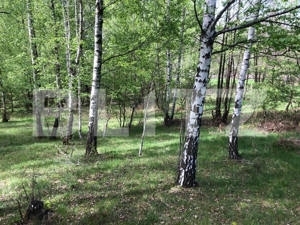 Teren de vânzare Nord Est - 122550TV | BLITZ Târgu Jiu | Poza2