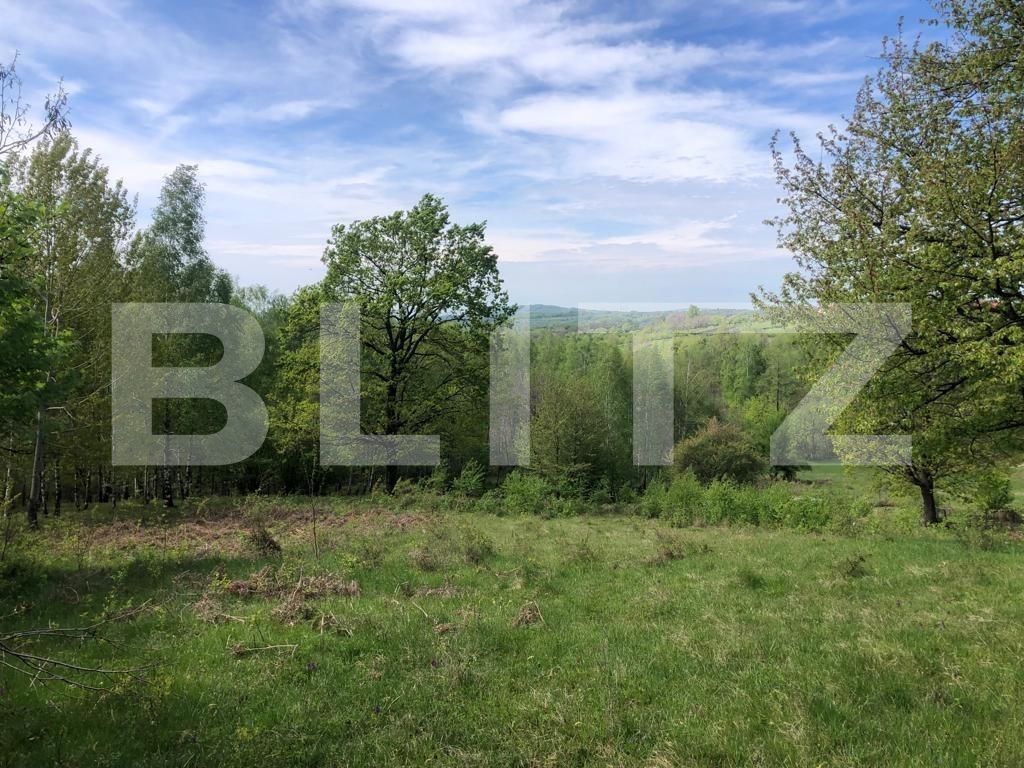 Teren de vânzare Nord Est - 122550TV | BLITZ Târgu Jiu | Poza7
