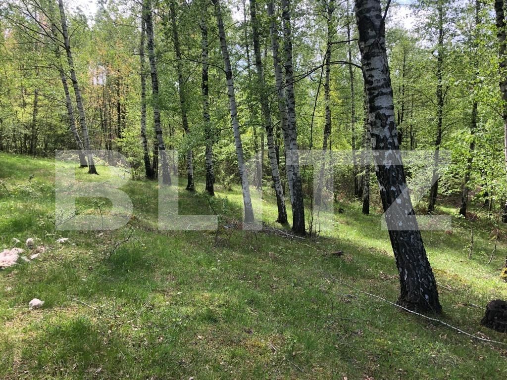 Teren de vânzare Nord Est - 122550TV | BLITZ Târgu Jiu | Poza4