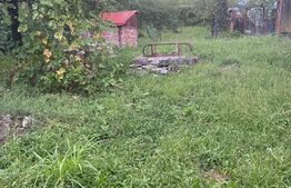 Casa plan parter si mansarda, 100mp utili, zona Novaci