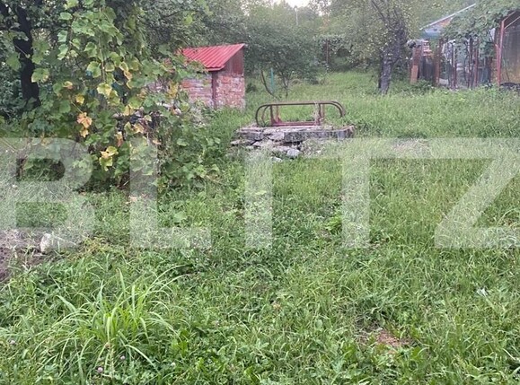 Casa de vânzare 3 camere Exterior Sud - 124891CV | BLITZ Târgu Jiu | Poza9