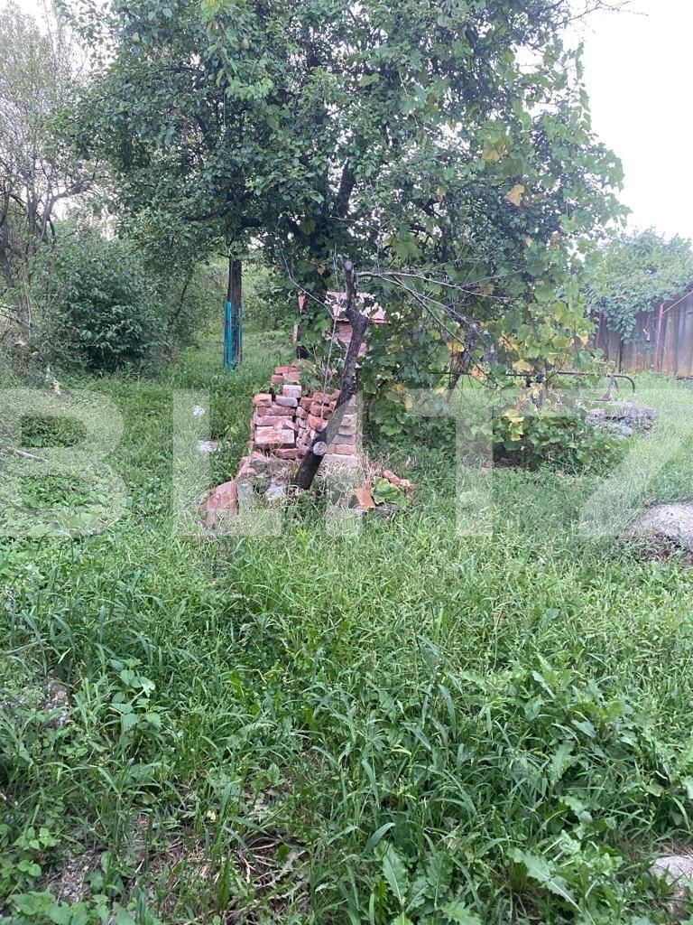 Casa de vânzare 3 camere Exterior Sud - 124891CV | BLITZ Târgu Jiu | Poza10