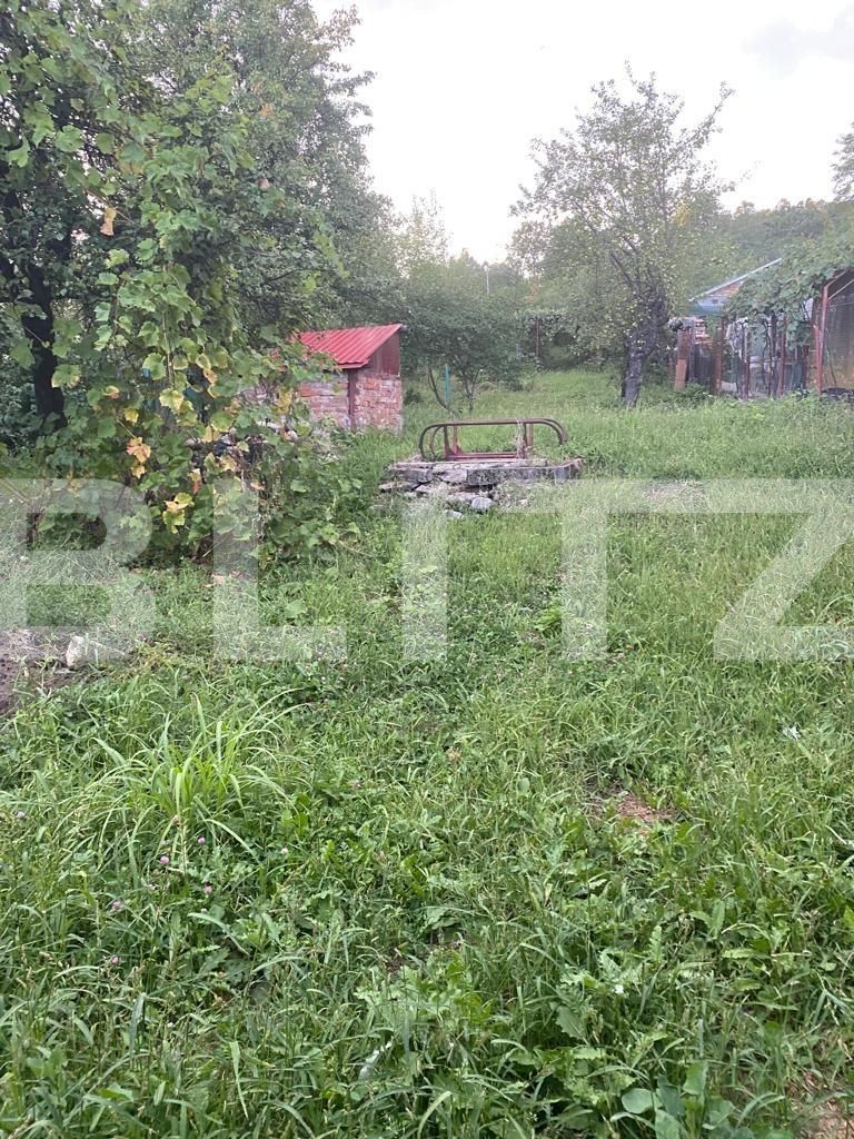 Casa de vânzare 3 camere Exterior Sud - 124891CV | BLITZ Târgu Jiu | Poza9