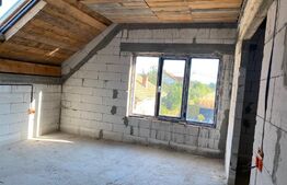 Casa plan P+M, 220 mp utili, Iezureni