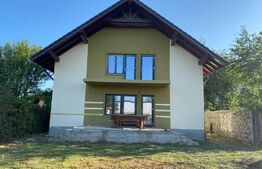 Casa plan P+M, 220 mp utili, Iezureni