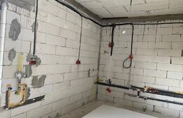 Casa plan P+M, 220 mp utili, Iezureni