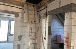 Casa plan P+M, 220 mp utili, Iezureni