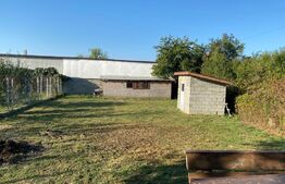 Casa plan P+M, 220 mp utili, Iezureni