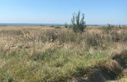 Teren intravilan,Preajba , Tg.Jiu