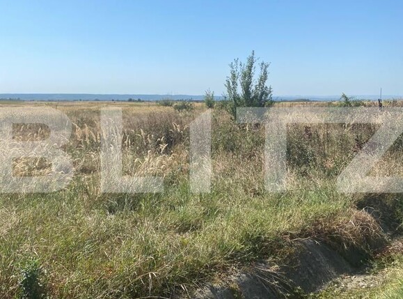 Teren de vânzare Preajba - 125869TV | BLITZ Târgu Jiu | Poza1