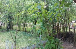 Casa renovabila 2 camere si teren, 50mp utili, 1000mp, zona Urdari