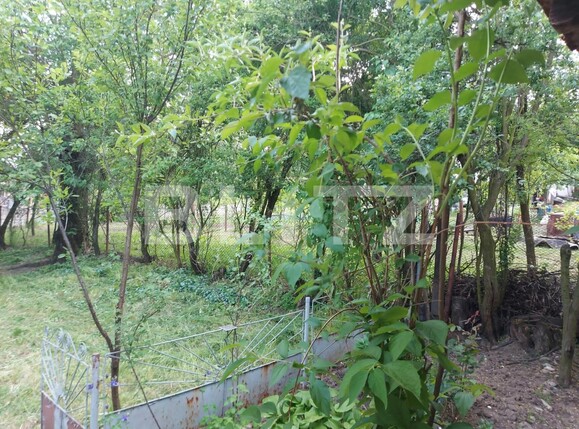 Casa de vânzare 2 camere Exterior Vest - 126393CV | BLITZ Târgu Jiu | Poza6