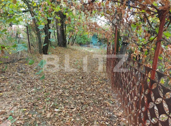 Casa de vânzare 2 camere Exterior Vest - 126393CV | BLITZ Târgu Jiu | Poza3