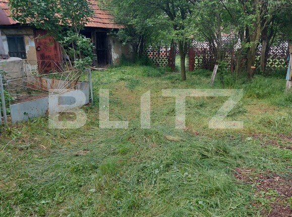 Casa de vânzare 2 camere Exterior Vest - 126393CV | BLITZ Târgu Jiu | Poza4