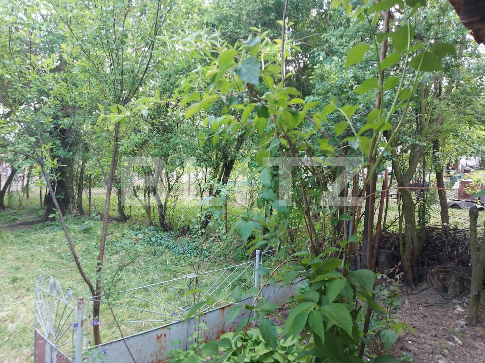 Casa de vânzare 2 camere Exterior Vest - 126393CV | BLITZ Târgu Jiu | Poza6