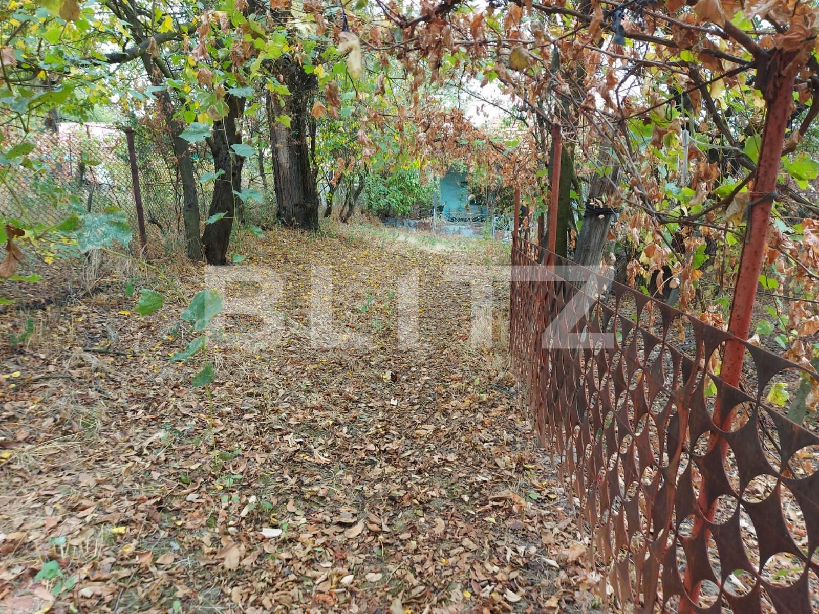 Casa de vânzare 2 camere Exterior Vest - 126393CV | BLITZ Târgu Jiu | Poza3