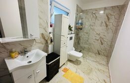 Casa plan parter si mansarda, 141mp utili, cartier Dumbrava