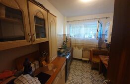 Apartament 2 camere, parter, zona Grivitei