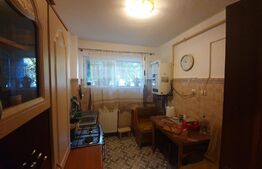 Apartament 2 camere, parter, zona Grivitei